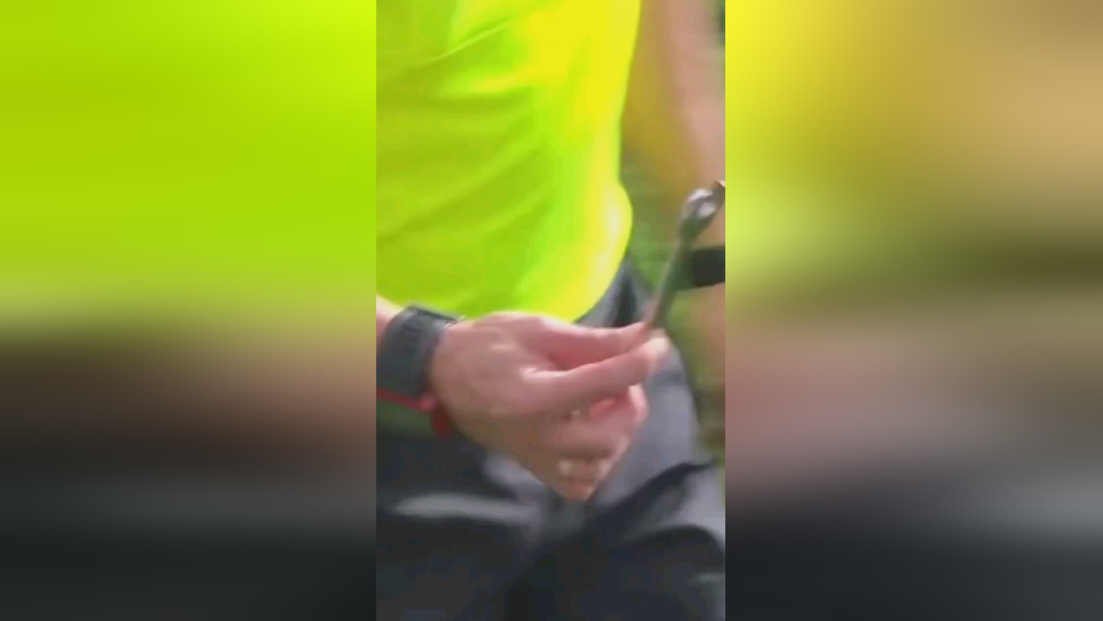 场阿莫林的